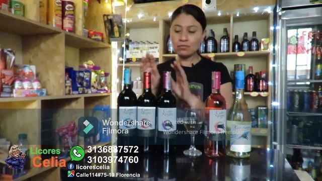 Vinos Gato Negros Tintos, Rosados y Gato Negro en Licores Celia