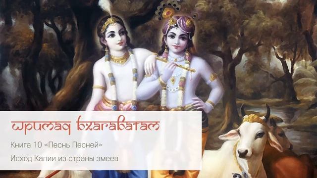 10.1.17 Исход Калии из страны змеев. Шримад Бхагаватам