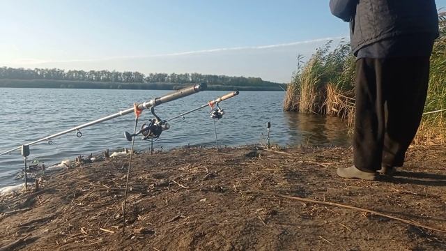 То что нужно каждому,всем добра и счастья