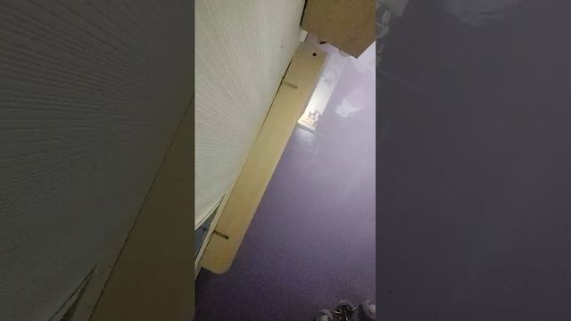 няшка в хаусе