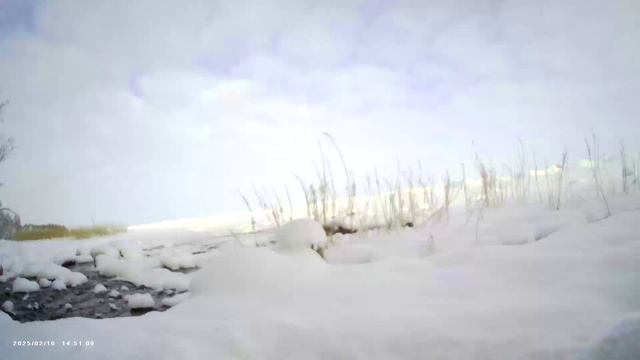 Блики Фауста. Часть 16.