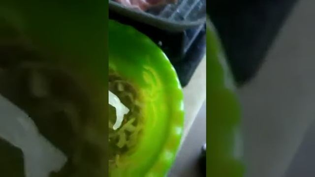 Ляся ест лук.13 сентября 2020 г.