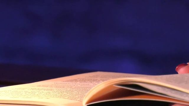 "Book Time" - Детективи / МІС