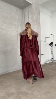 InShot_20250216_161315831