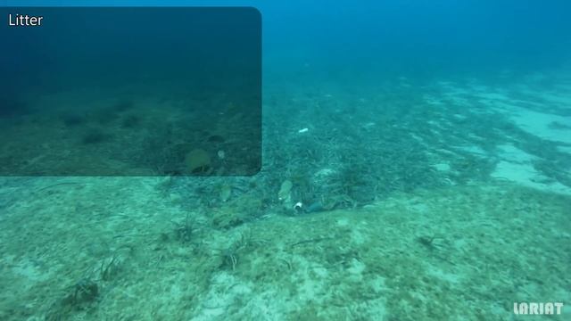 SeaClear test site Dubrovnik - Lokrum