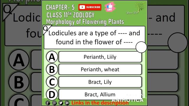 Morphology of flowering plants neet 2022 mcq