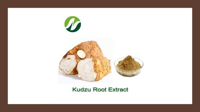 Kudzu root -  Herbal Medicine -  Benefits, Uses & Side Effects