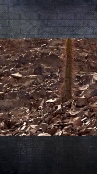 Гибель цивилизации Наска. Ч-3