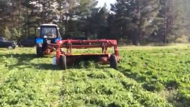Тестовое кошение клевера в Новоспасском