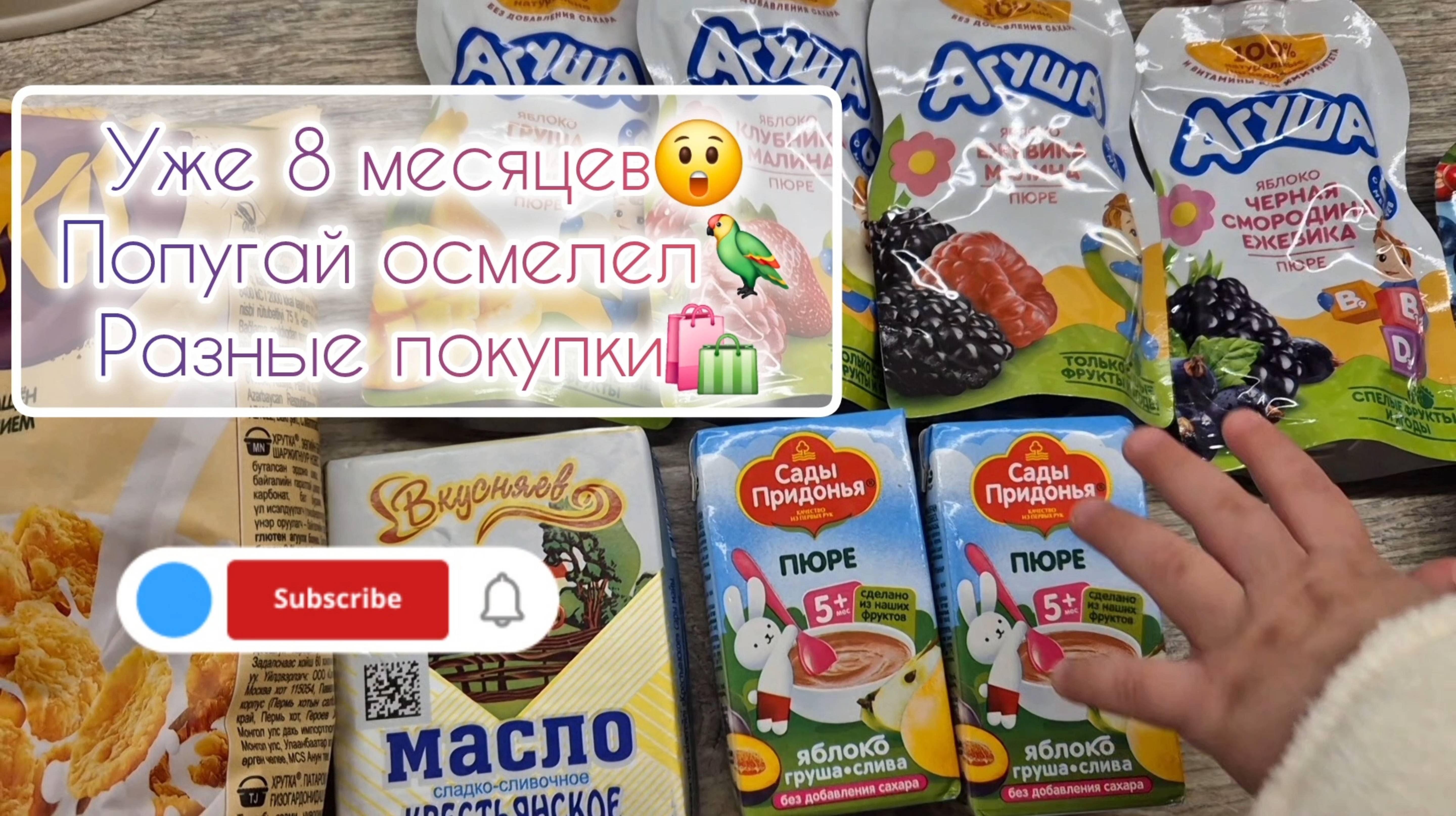 Уже 8 месяцев😲 Попугай осмелел🦜 Разные покупки🛍