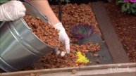 Mulch Madness - Home & Family