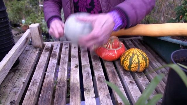 Get Gardening: Oh Gourdness Me!