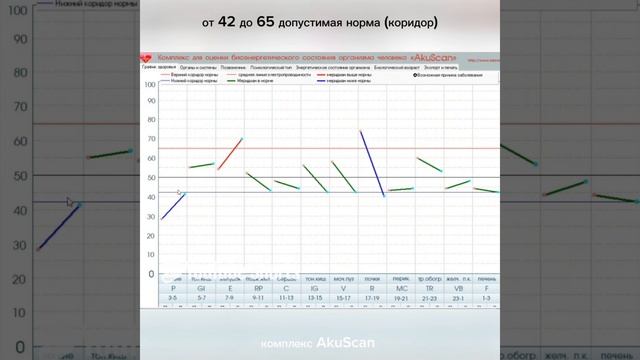 Меридиан ЛЁГКИХ. Комплекс Акускан. Система У-Син