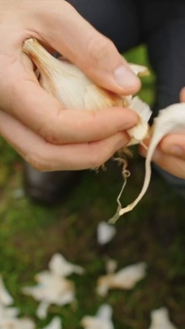 The Surprising Benefits of Eating Raw Garlic for a Stronger Digestive System