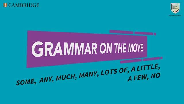 Open World B1 SB grammar on the move p 44