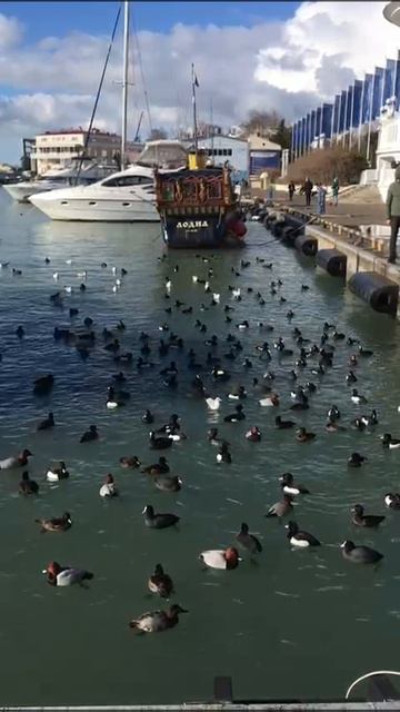 Путешествуйте выгодно
rosbillet.ru