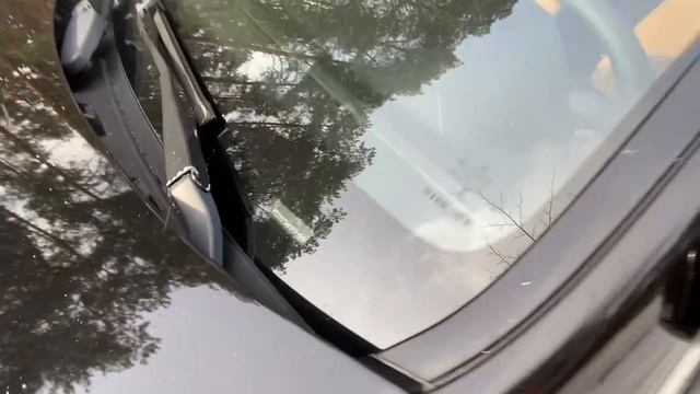 1000075306.mp4