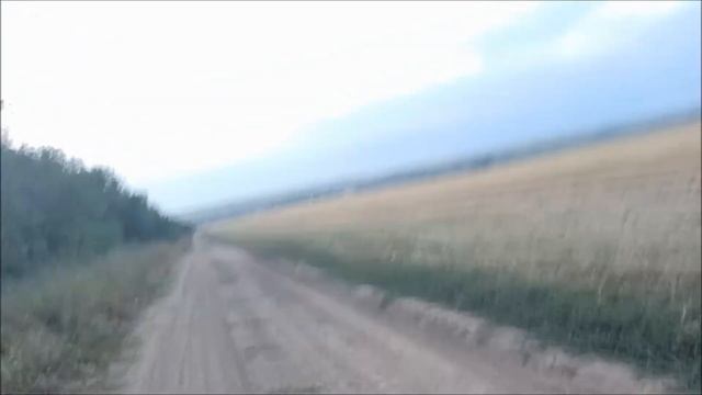 ДАЧНЫЕ ВЫХОДНЫЕ.