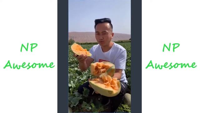 Китайцы выбирают и едят свежие фрукты в саду(странно приятный фруктовый ниндзя) #66