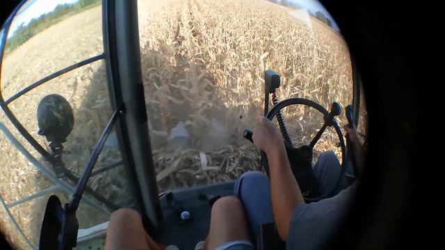 CLAAS LEXION 480 TT *Corn Harvest 2018*
