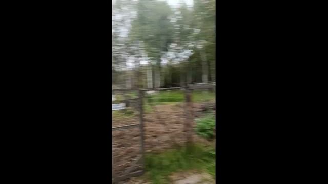 Ручная дрезина в Переславле-Залесском