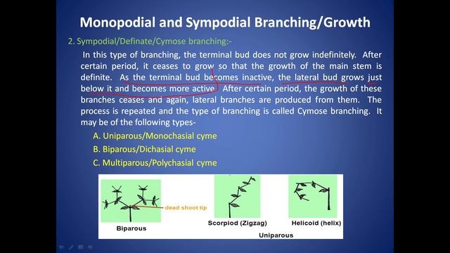 Monopodial and sympodial growth