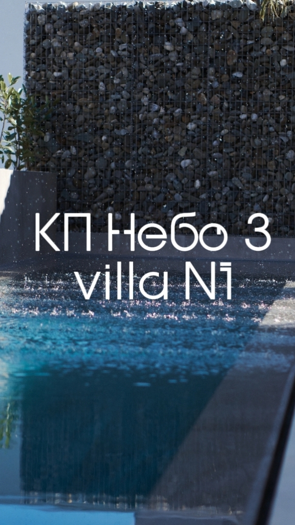 Капибара оценивает бассейн на КП Небо 3