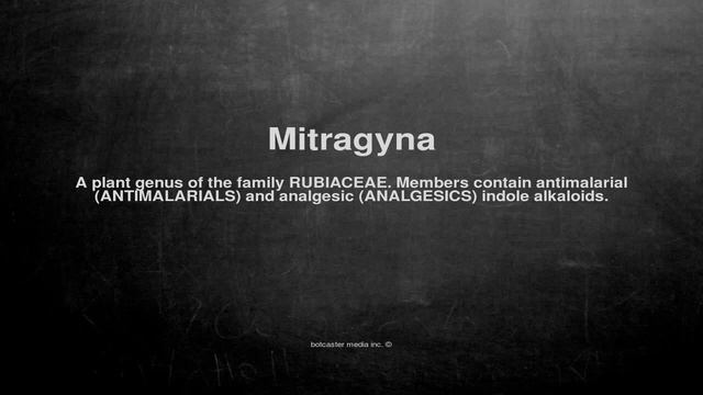 Medical vocabulary: What does Mitragyna mean