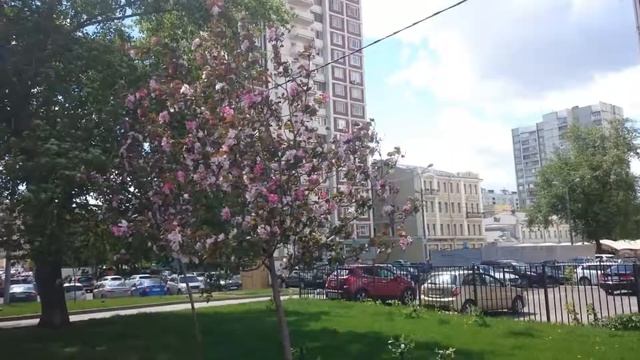 Москва Май Яблочный цвет 2017