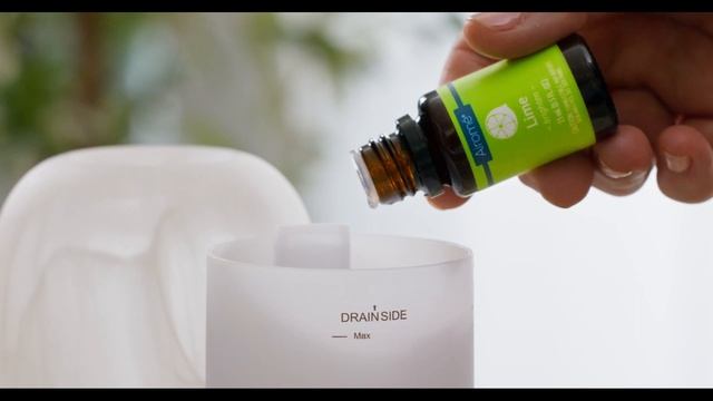 Lime Essential Oil by Airomé | Home Fragrance | Aromatherapy