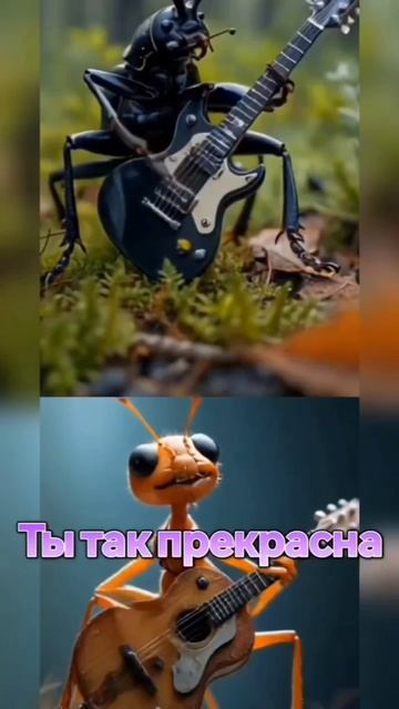 Отправь это видео Таньке