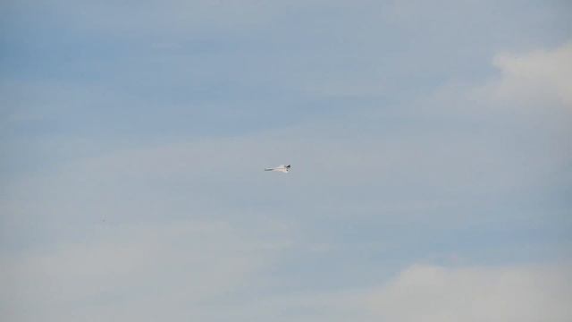 CONCORDE AIR FRANCE RC SCALE TURBINE JET MODEL DEMO FLIGHT / JetPower Messe 2014