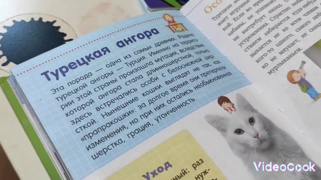Нике и феню поставили пятёрки!!!!| Учительница больше не сердиться на Нику и Феню!!!!