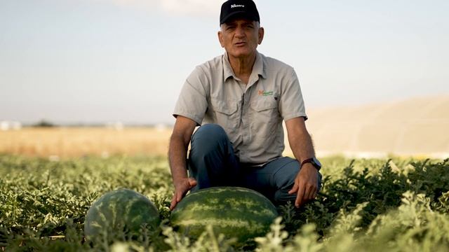 Watermelon Nurlan
