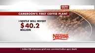 Cameroon First Coffee Plant