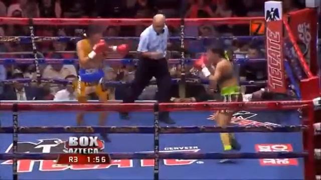 Eloisa Martinez vs Sulem Urbina