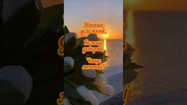 Добрый Вечер