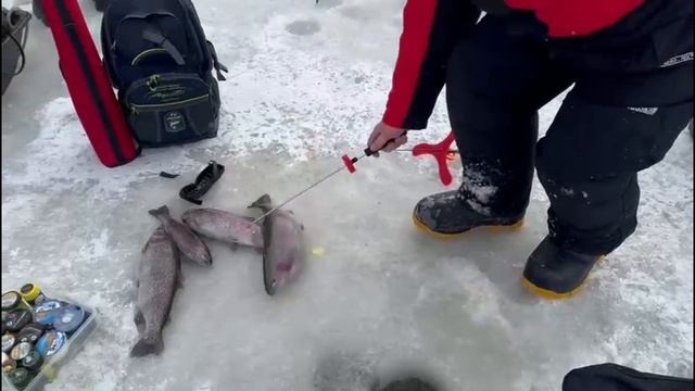 Поимки спорт зона