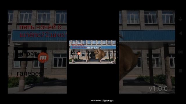 бетка моей игры в покед коде