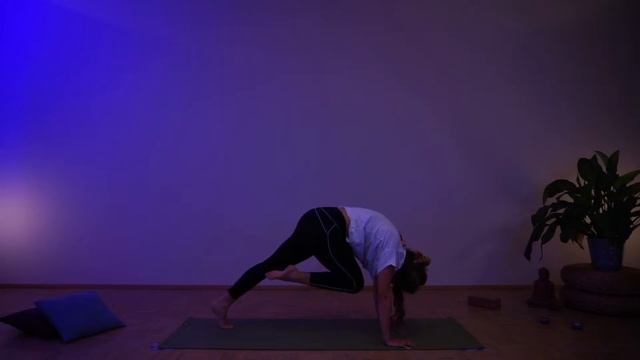 Ganzkörper-Workout | 25.03.2021