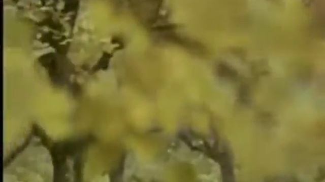 Эдуард Хиль - Пора любви