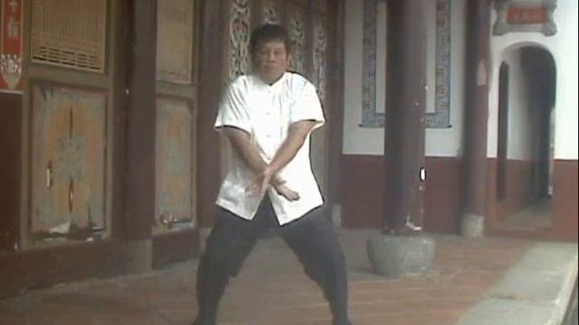 Taiwan SHI-HE-QUAN  KUNG-FU audiovisu short subject食鶴拳教學光碟短片(Sifu Liu Han-Hong)