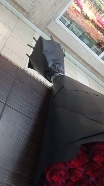 роза эквадорская 100 см Москва 51 шт за 9000 руб для заказа +79151426416