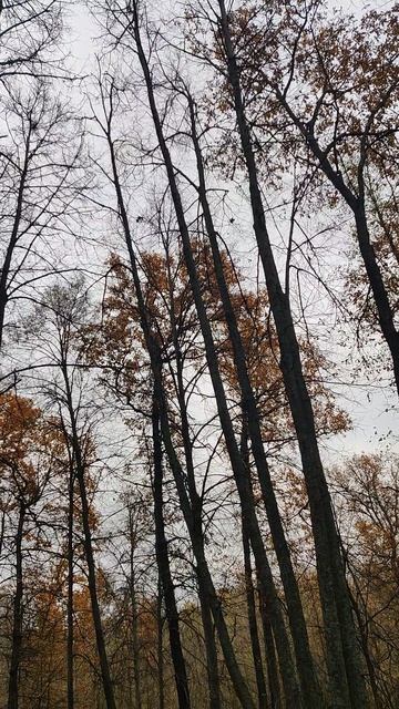 VID_20241027_150629