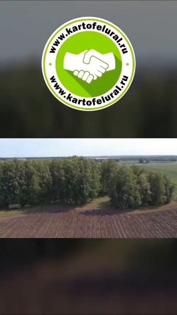 С июля-августа! Из   Свердловской области.