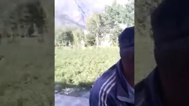 Шудам аз дури пазмонат.