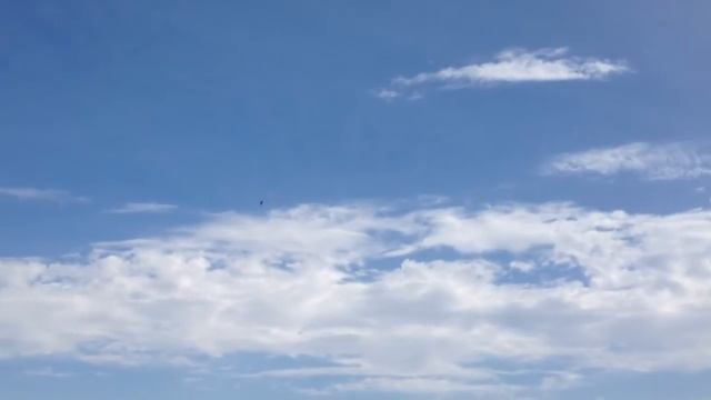 Maiden Flight Habu 32 with P20 Turbine