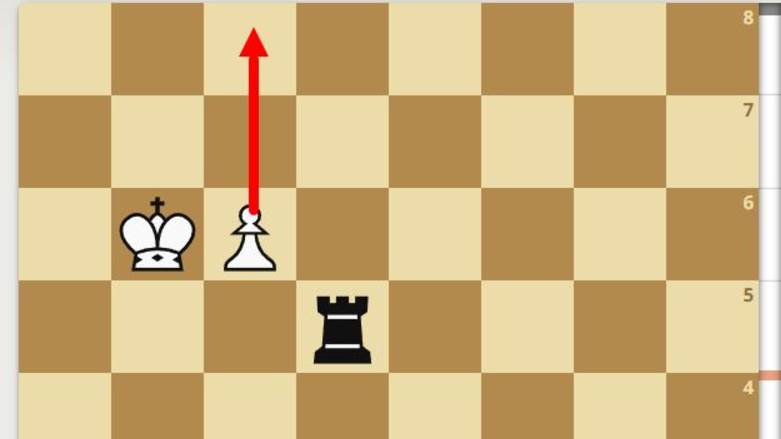 99% новичков не видят гениальный выигрыш