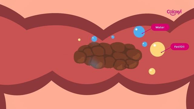 Coloxyl with Senna – How it works?