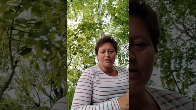 таро в прямом эфире